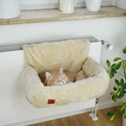 Schlitzohr Heizungsliege Lucky Beige -Heimtierbedarf Rabatte 7bab29708c56b6f70695735987b821094f74efb9 1484673 de DE 775053056e82816b2424b888f536a523a0880ea7ZfMupV