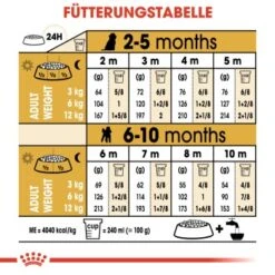 ROYAL CANIN Poodle Puppy 3kg -Heimtierbedarf Rabatte 7c356ad4610b8a705c3b24f682002d504aa26a06 03759a00ee1cb8701f90fe54c89729f207ade41a