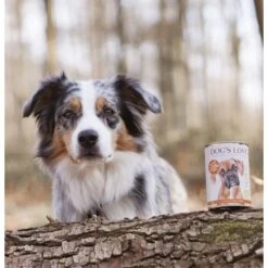 DOG'S LOVE BIO 6x400g Pute Mit Amaranth & Kürbis -Heimtierbedarf Rabatte 7cfb335242819e2022e06cd6adfa2d944e3f1da6 1274540 1