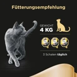 Sheba Delikatesse In Gelee 22x85g Huhn -Heimtierbedarf Rabatte 7d0c61cee00487eaa7204e4ee0e0cb29425d4a1a 53fe67de08e8358e9fe1bb0859111ef670e81b29