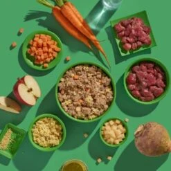 Fred & Felia FRED 10x390g Hirsch & Wildschwein Mit Hirse -Heimtierbedarf Rabatte 7d782162860eb9918d98fa185975fe1e292f8d5e 1421890 de DE 79abad996c8dbeee8393516e537bcfeb8ce29f09mtgB6b