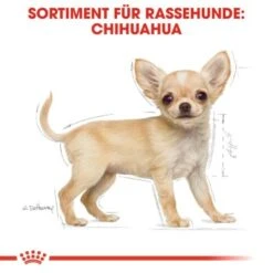 ROYAL CANIN Chihuahua Puppy 1,5 Kg -Heimtierbedarf Rabatte 7dd2fdf31fbafe12844b77541531374b85a5dbbf 5c9b8e420f544ce443bc0dcd34b99a937a14a2be