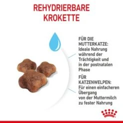ROYAL CANIN Mother & Babycat 2 Kg -Heimtierbedarf Rabatte 7de9161ec8af5d8e5fb59d6589cba97c3ecae1bf 3182550707329 5