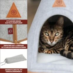 Canadian Cat Company Katzenzelt Cone -Heimtierbedarf Rabatte 809a3c44a93f6813e3f594a392c884994f2cb8be 1394210 de DE c6578ffbb5eb34e2b0106dd76bcafeaede82606a8Hawov