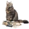 Canadian Cat Company Baldrian & Catnipspielzeug Katzenkissen LOVE, 6er Pack -Heimtierbedarf Rabatte 8146cc5c2f0d90049f7f18a19fb561c35f46fbb1 1493989 de DE 6ccdf74d5e4f1a59c2343b32af7bb9814fa4cbfbSBAjeL