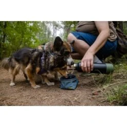 Ruffwear Great Basin™ Napf Schieferblau S -Heimtierbedarf Rabatte 824b44ccf17c67c3dd43e5523941633c95efed85 1651551 de DE fad827ec7223895423979e3215d64ffaeae47c26HGRUuZ