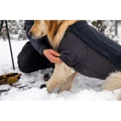 Ruffwear Cloud Chaser™ Hundejacke Schwarz XXS 19 Ruffwear Cloud Chaser™ Hundejacke Schwarz XXS -Heimtierbedarf Rabatte 839577c6525280e266f62f99f67ccc111fd75c4b 1369623 de DE 87ed046f15d6c099e4f33a0b92b8494c495a6d97bF4WS9