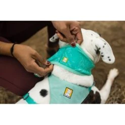 Ruffwear Swamp Cooler™ Kühlendes Halstuch Blau/ Türkis XXS 16 Ruffwear Swamp Cooler™ Kühlendes Halstuch Blau/ Türkis XXS -Heimtierbedarf Rabatte 84380b323534f706adb064c5f59bfe1f6f8adfcb 1639914 de DE 09b76313830836f68f333eee06c0a6bd83fbeec4Hirkw3