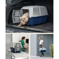 Lionto Transportbox Aus Plastik Dunkelblau S -Heimtierbedarf Rabatte 854b33e0212746e2742bf348acb81ce960e7835d 1657970 de DE bf0d458c49317bc95655d9643981fbb583fd8a3aX5s2ed