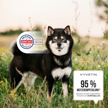 KYVETIN Spray Skin Repair Für Hunde Und Katzen 7 KYVETIN Spray Skin Repair Für Hunde Und Katzen – Bild 5