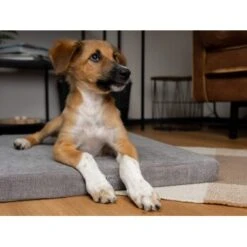 TrendPet VitaMedog 95° Orthopädische Matratze Braun XS -Heimtierbedarf Rabatte 8593ab33aaee7b7db5c067ae575cd2587eb58a46 1313491 de DE ed4b5eda7bf93be784ebea4f6c775dbba153c634bQuZDK