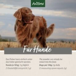 Aniforte 4in1 Complete Dog 11 Aniforte 4in1 Complete Dog -Heimtierbedarf Rabatte 863df9312c354770c420c56efc95e2ead39bb452 1332843 de DE b031ceb424c8a1b82398a216b110edd0f14ffb59lVmP30
