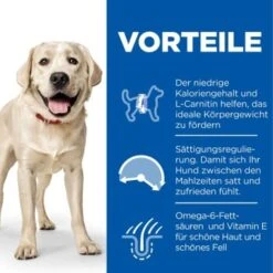 Hill's Science Plan Light Adult Large Breed Mit Huhn 18 Kg -Heimtierbedarf Rabatte 8a2f8f0cfb00e9d10c3215f8584bc7fdb5ea7eb1 52742025902 4