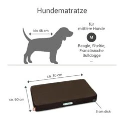 Doctor Bark Hundematratze Braun M -Heimtierbedarf Rabatte 8abe0340ce832664c2722d96d1e321211e8fd65b 1658174 de DE ef448a38ca6ae1689b1395db88153ebc88580afayC3rpx
