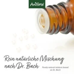 Aniforte Bachblüten Wohlfühl -Heimtierbedarf Rabatte 8bc2185825b8d46f8f1cec8a2efc06bd21fe66aa 1480464 de DE bb917812d09fa080e606ea64d9276d9a5643f01aWwYvvv
