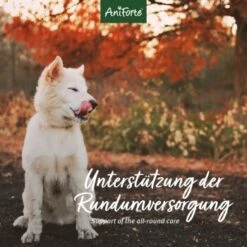 Aniforte 4in1 Complete Dog 10 Aniforte 4in1 Complete Dog -Heimtierbedarf Rabatte 8c5939e9a034077a3552f158dbe5f91fd29e1215 1332843 de DE aca85754970fb7b2c441c0d2dd5fcc395b1360c0UEca49