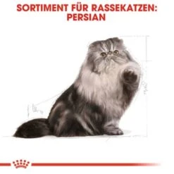 ROYAL CANIN Persian Adult 10 Kg 16 ROYAL CANIN Persian Adult 10 Kg -Heimtierbedarf Rabatte 9165cac29a72299b97dae8a447d82fe7420a785a d15d6f63a0146aa9aad91fbc1d1013d7e48a8bed