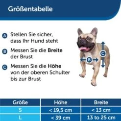 PetSafe SmartDoor Elektronische Hundeklappe, Größe L, Weiß -Heimtierbedarf Rabatte 925e478f29d003773bb1a75ff2dca34b8fd01bcb 1481147 de DE 97a3b7c824f790031bfdcd0c97ad3f7b292d44bcBPwM27