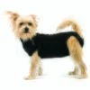 Trovet Hundebody Recovery Suit Schwarz XXS 1 Trovet Hundebody Recovery Suit Schwarz XXS -Heimtierbedarf Rabatte 92d14012c332f0a5a46b2a7887d2e493de373061 bbc558c1bdf8e1bee3228f5e0e39819075b810aa
