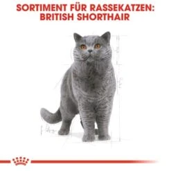 ROYAL CANIN British Shorthair Adult 2 Kg -Heimtierbedarf Rabatte 9365d2e698cecd605cd1a65c1f6739678bb8db93 b918cdac1f0d9facd4834fa0fbe07edcafd8fe8b