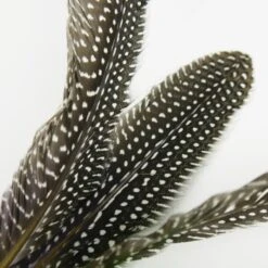 Schlitzohr Katzenangel Federanhänger 5x -Heimtierbedarf Rabatte 93b8e0c984d323f24d455bf8e74e2dbacef5703e 1484675 de DE 7b80f213f44ebcad765dbdebc25bf2d2f0177dbd64kHU2