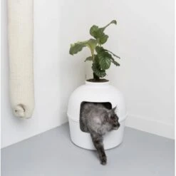 RHR Quality Katzentoilette Flower XXL -Heimtierbedarf Rabatte 93f503e3b5e2d21cc0461e97d9127562df0337e6 1641853 de DE 1e822790dd4545375dbf65f839e659bd6b299a76bokJue