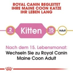 ROYAL CANIN Maine Coon Kitten 4 Kg -Heimtierbedarf Rabatte 9494efda15798aa930f4c836c086824869519e76 d153c89f98a812830b790602e2c1dd84504c30b9