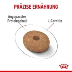 ROYAL CANIN Light Weight Care Mini 8 Kg -Heimtierbedarf Rabatte 953cda22e6e6f64292db62faabb07abaf2e2818f 1293198088b0809ea72955c9e95236463763a095
