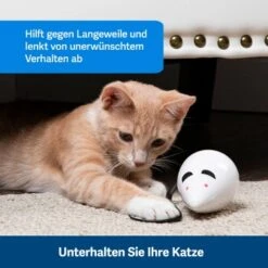 PetSafe Automatisches Katzenspielzeug RoloRat -Heimtierbedarf Rabatte 97df3eec34472f4ac76f2a0bbe4e75fdbbe02b64 1351522 de DE 83c2d308e962c4b6c64101ee39311b3a61647f71n2yR1C