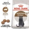 ROYAL CANIN Ageing 12+ Sterilised 4 Kg 1 ROYAL CANIN Ageing 12+ Sterilised 4 Kg -Heimtierbedarf Rabatte 9802dd133559937b704068f6cc8306b45b98c2ea c94ee72411cd7bd6a72a1493c122daa72c82a5e1