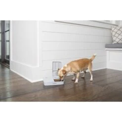 PetSafe Futterautomat Für 2 Mahlzeiten -Heimtierbedarf Rabatte 98670f242f118bad629edcf021dc784c6a55633d 1343837 2