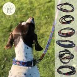 Kipita Polo Hundeleine Noble -Heimtierbedarf Rabatte 992fac3edc92486a19b1333592b84b50c5287273 1410957 de DE 6d6de6837b022ad01a8c4875ca7db93a18f6bb15k0Amg4