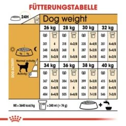 ROYAL CANIN Labrador Retriever Adult 12 Kg 10 ROYAL CANIN Labrador Retriever Adult 12 Kg -Heimtierbedarf Rabatte 997e374a30a4a73565ee337ec0370d23b8f8cf5d ea63f66c05355c520815f2a9d875295741497276