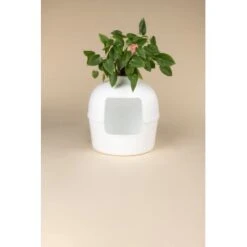 RHR Quality Katzentoilette Flower XXL -Heimtierbedarf Rabatte 9a175089ef2e18d9c2c6261d746d3512930c312f 1641853 de DE fe53414878bfaf3647b8be741b079914a6bd2e93iOsifJ