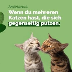 Almo Nature Almo Holistic Anti-Hairball 30x70g Mit Huhn 9 Almo Nature Almo Holistic Anti-Hairball 30x70g Mit Huhn -Heimtierbedarf Rabatte 9a54cc0b5b16a66888a5cf0f14d45fa382294bc6 1479696 3 de