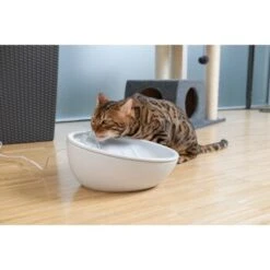 AniOne Keramik-Trinkbrunnen Waterfall Weiß Ohne Ersatzfilter 12 AniOne Keramik-Trinkbrunnen Waterfall Weiß Ohne Ersatzfilter -Heimtierbedarf Rabatte 9ab78e65ebaf72b76c537cd735c5a7cd6cd4d027 a897eca6393f48ff54c98954a2b189a96196cfbd