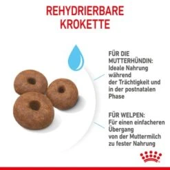 ROYAL CANIN Giant Starter 15kg -Heimtierbedarf Rabatte 9bdc03bdb1381936f98533e63f927e8c42e86435 3182550778831 6