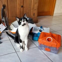 THOMAS Staubsauger -Heimtierbedarf Rabatte 9c1c711bdc998f487ed8c24bc96dc66adbb9a8a0 1406733 de DE c0788b12d8ca7e012c5c5d1a7cf9568fa3623544LvViH7