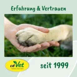 CdVet Ohrenpflege 50ml -Heimtierbedarf Rabatte 9ed4fc954232c5e8e57d3234b374c19f2505100c 1322257 de DE 9de31ae422c889f65e12a1085ee6ba81b11de6a36QDt4Q