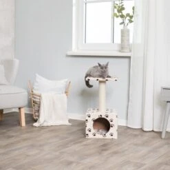 Trixie Kratzbaum Zamora Cat Paws -Heimtierbedarf Rabatte 9ed9306b3f70bbbb75e24ede72d139e1f53724d2 174165cf4bdac761770818865a5fc15c92e12097