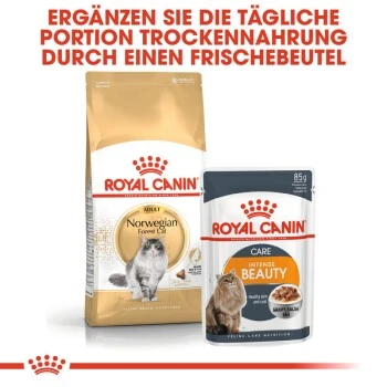 ROYAL CANIN Norwegian Forest Adult 10 Kg 5 ROYAL CANIN Norwegian Forest Adult 10 Kg – Bild 3