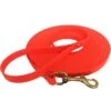 Bio-leine 25-35 Kg Schleppleine Biothane Orange 3 M 1 Bio-leine 25-35 Kg Schleppleine Biothane Orange 3 M -Heimtierbedarf Rabatte a18901db92acaab3eb88be85c42af6eab78ae1f9 1458865 de DE 3eed43bfdd9f1c0dc2a7d571033cd2e58ce89f073kA4kb