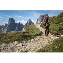 Ruffwear Omnijore™ Joring System L-XL -Heimtierbedarf Rabatte a1bcdb0edf5fa61b5365fa108c1179d91c6b71bd 1444283 de DE 30b0e091be713524ac4db3a2e81379b81e56a1a1Nsdguq