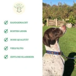 Kipita Polo Hundeleine Noble -Heimtierbedarf Rabatte a1f661d57eb416cf465df015cbe6dbe15b002868 1410957 de DE 2a9bc2619d6cce10e84e052332c10a97d164fecfgIBn2h