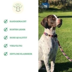 Kipita Polo Hundeleine Rainbow -Heimtierbedarf Rabatte a2c75ce377ad0bdc620fae8249de4744cf0eee28 1410921 de DE 6f891659a2f595d1b30e918fefe4ff5811ec8a16AyAJ3g