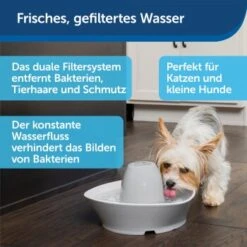 PetSafe Trinkbrunnen Streamside 11 PetSafe Trinkbrunnen Streamside -Heimtierbedarf Rabatte a4863bb01c9defc206f3abadb7407b11767619bd 1423698 de DE d7c376710365041814bb26a7ca9d55a6a9011fd8Nm0GoI