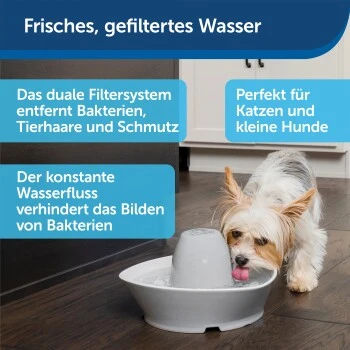 PetSafe Trinkbrunnen Streamside 7 PetSafe Trinkbrunnen Streamside – Bild 5