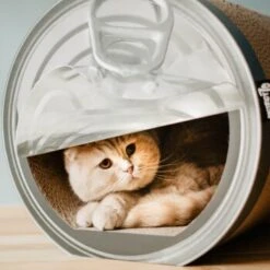 District 70 CAN Cardboard -Heimtierbedarf Rabatte a4cd0fa7850dfd13b737775762ce59afa0fa6bcc dc81845d134bfb19e2eca4e5bc9344d6856acd6a