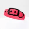 THE DOG IDEA Biothane Halsband Pink Schwarz S -Heimtierbedarf Rabatte a5e3aeed3d4ff2fe6173d9b0b1dd125d0e457d98 1662757 de DE a796767e6563e6c7c5809a8c5fedc2437f8d96289dtpyk