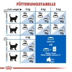 ROYAL CANIN Indoor 7+ 3,5 Kg -Heimtierbedarf Rabatte a607bc8cb63704aa662698fe355ecbb77096e7a5 fab27e5960ddaac4499a4a76a805f1d72f96d8ef